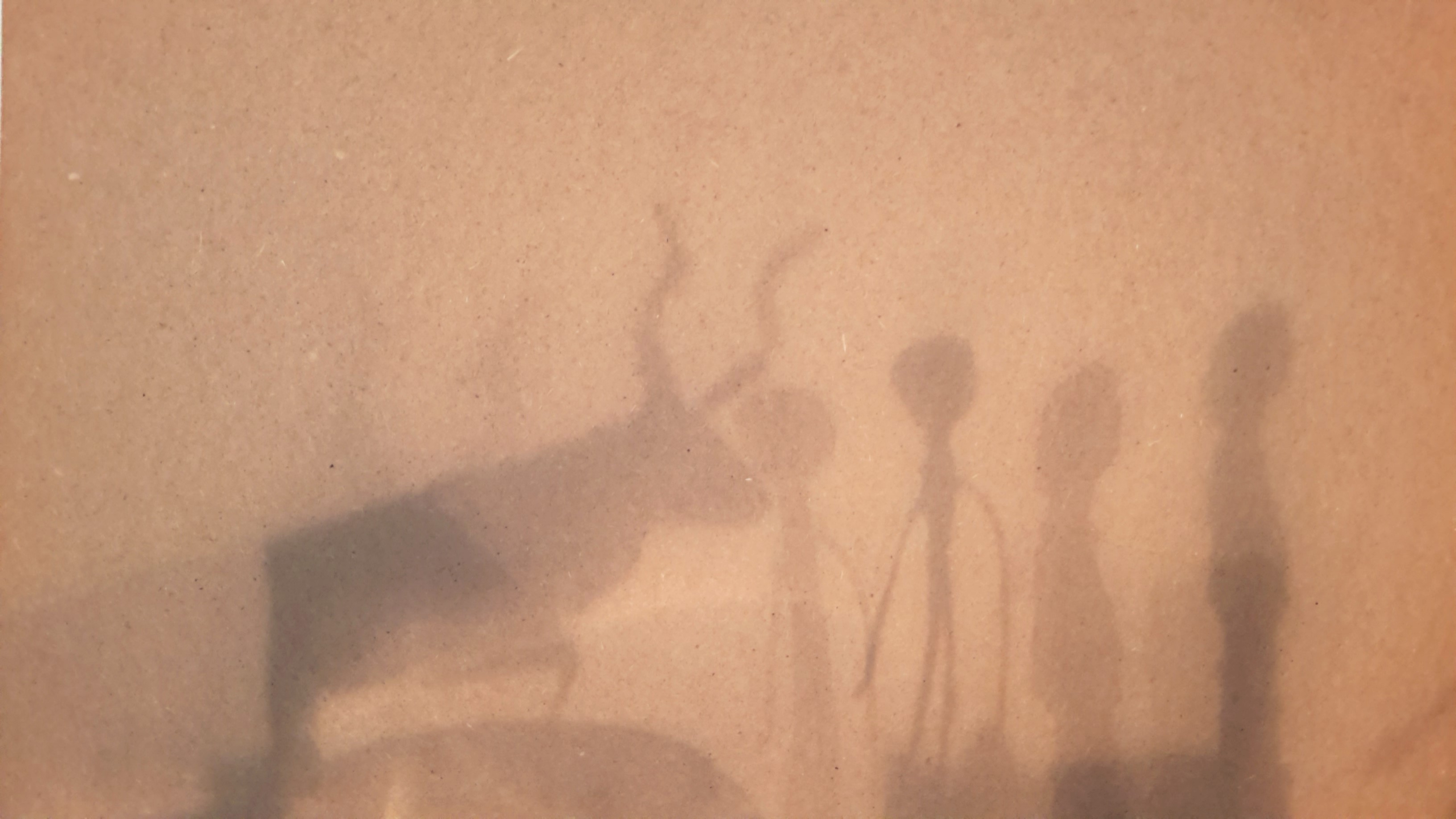 Cave Art, Shadow Play and Anthropology